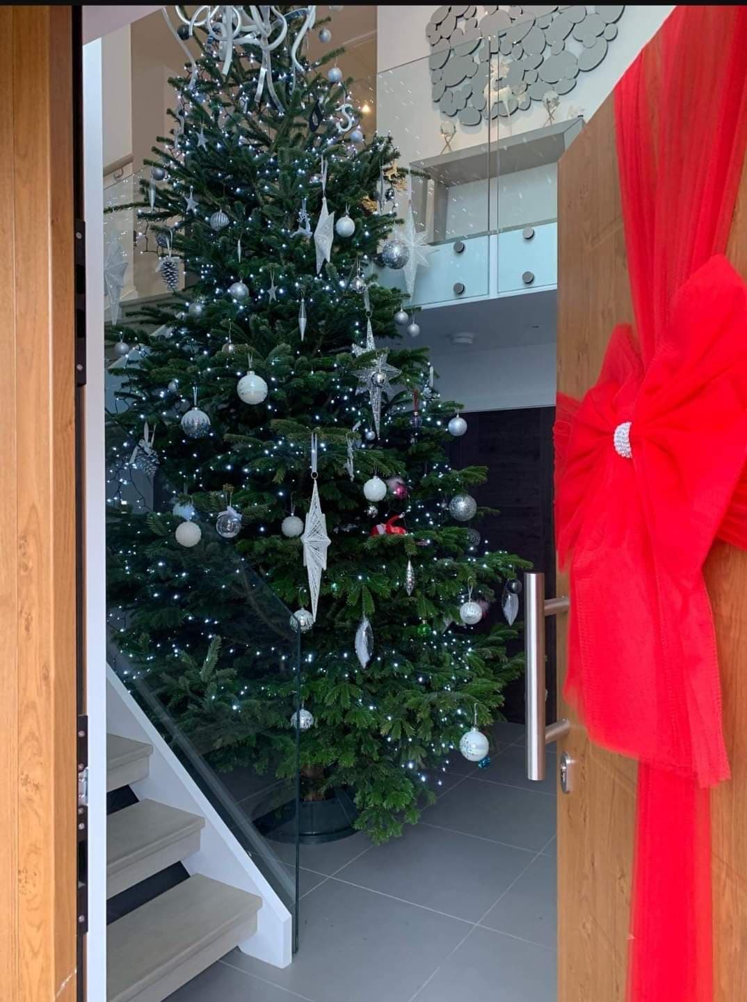 Real Christmas Tree delivery in Willingham, over, swavesey, bluntisham ...